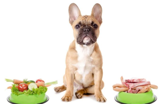 Votre chien mange t-il trop de glucides