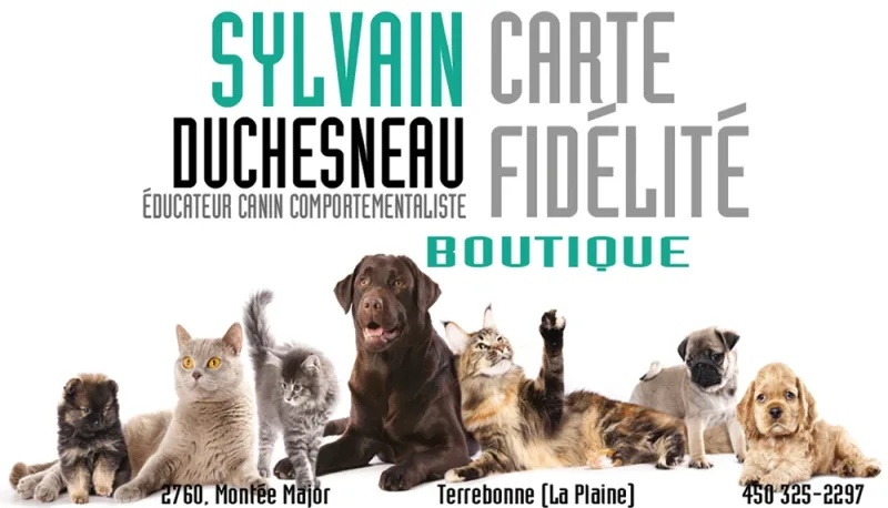 Carte-Fidélité Boutique Sylvain Duchesneau