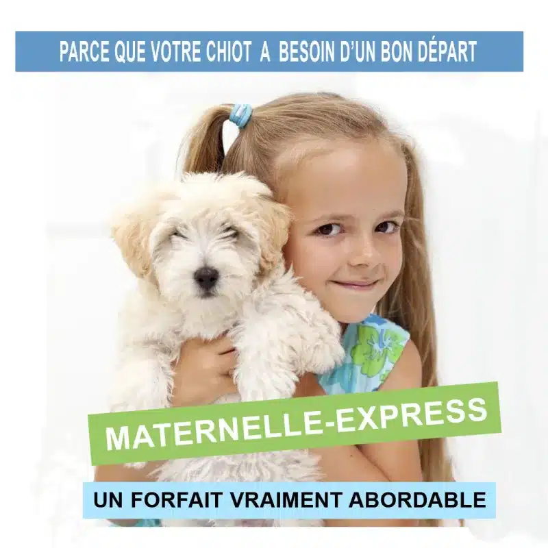 Maternelle-Express pour chiots