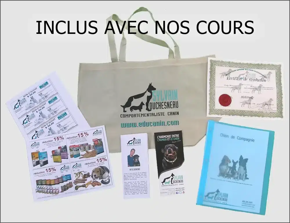 Dressage de chiens, éducation canine. Inclus avec nos cours