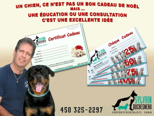 certificats cadeau éducation canine