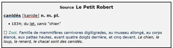 Alimentation du chien. Nourriture pour chien