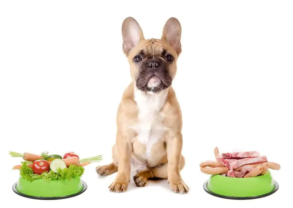 Nourriture pour chien. Alimentation du chien