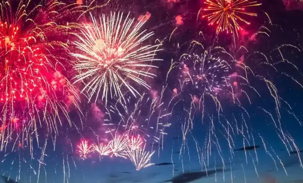 Éducation canine. Dressage de chiens. La peur des feux d'artifice