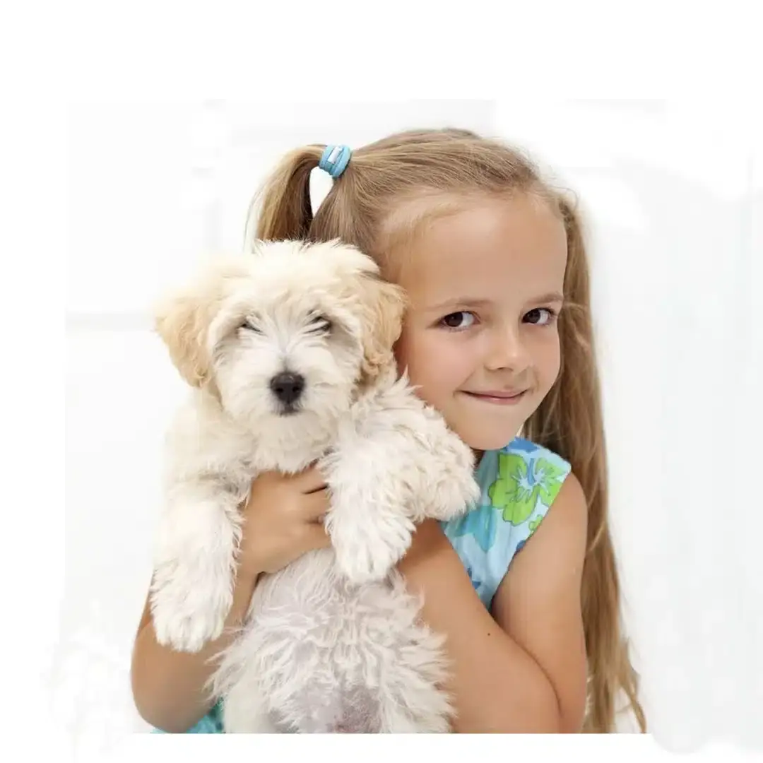 Maternelle pour chiots. Maternelle-express